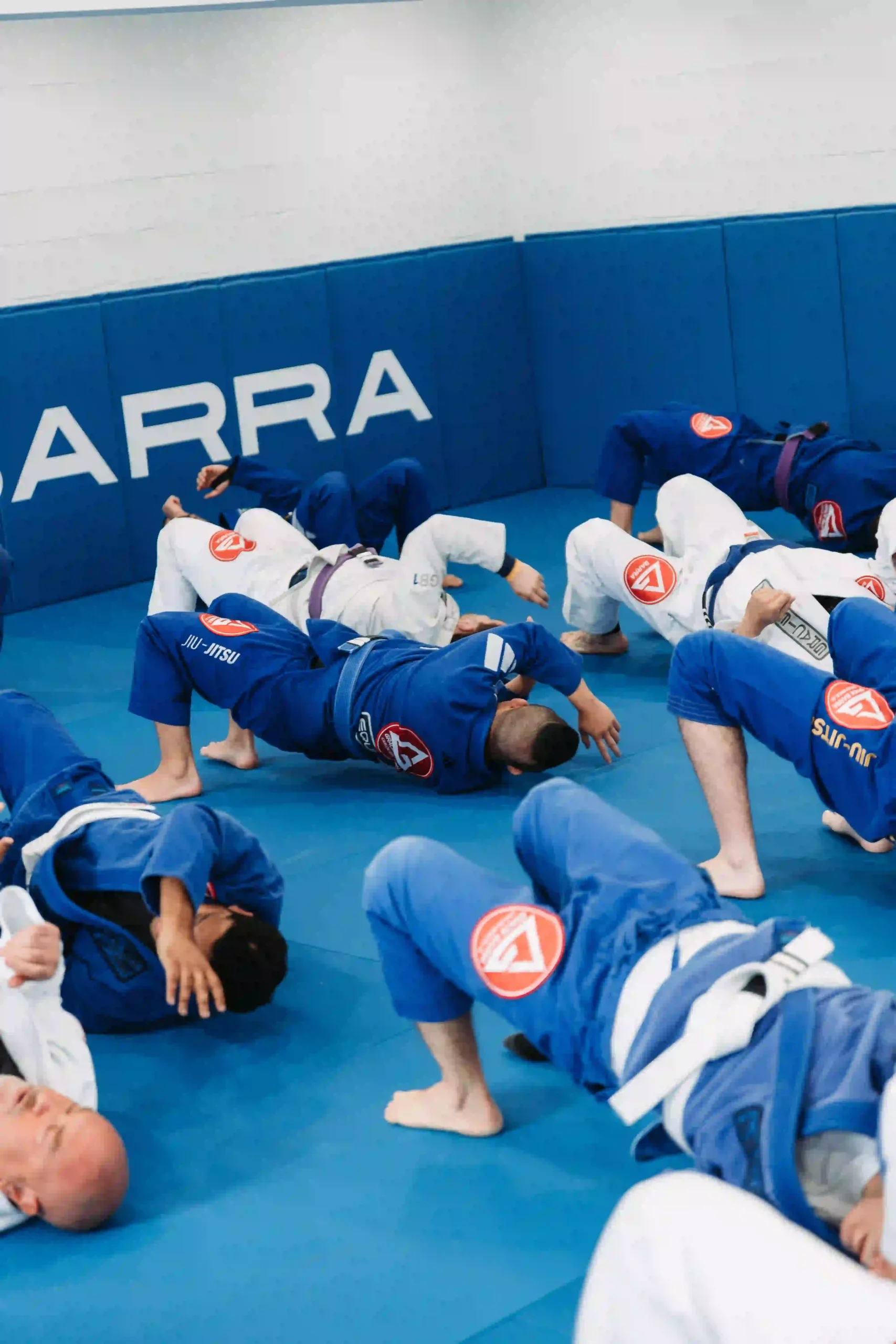bjj classes fulshear